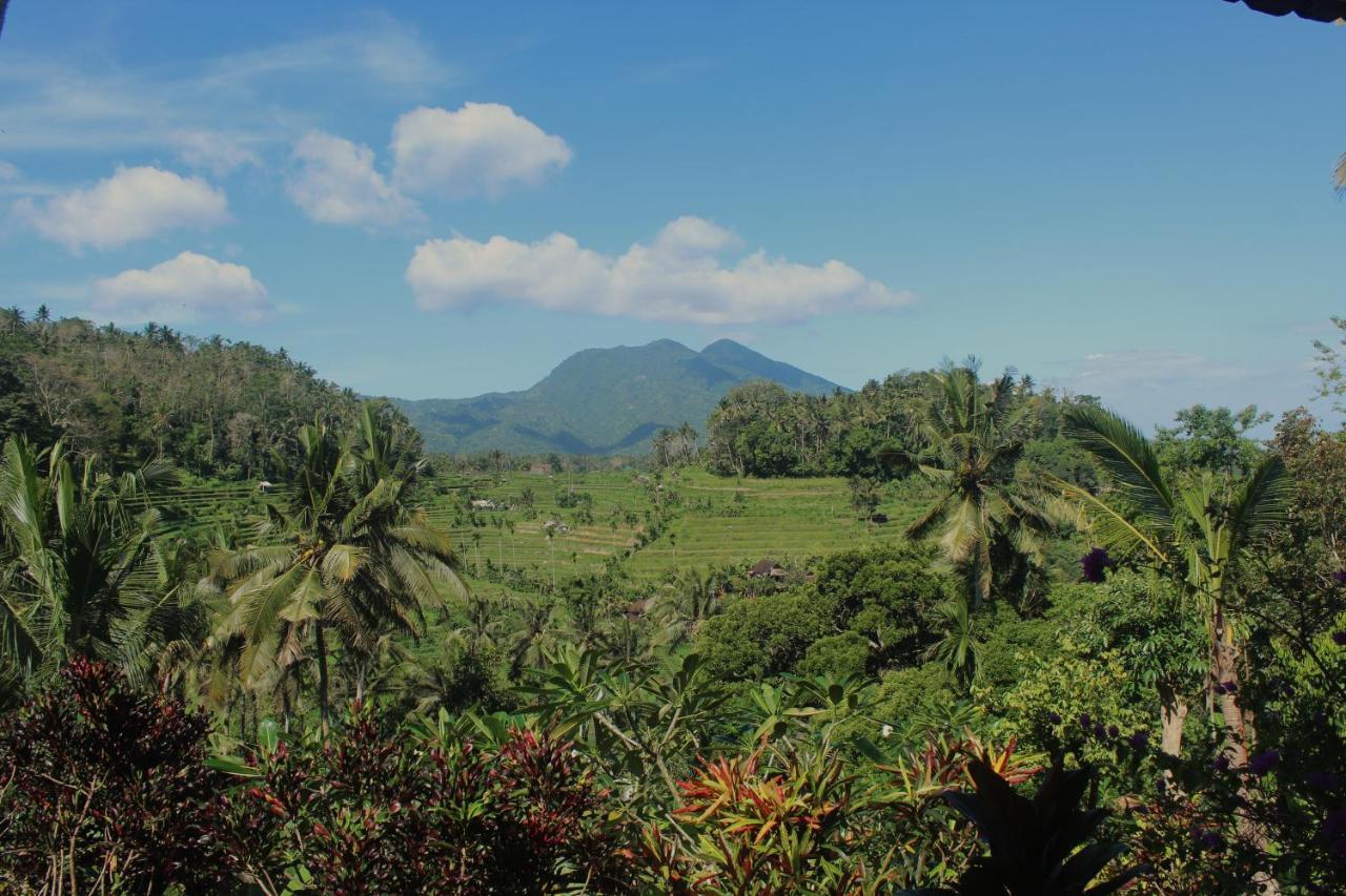 Pondok Lembah Dukuh Homestay Karangasem Amlapura Exterior foto