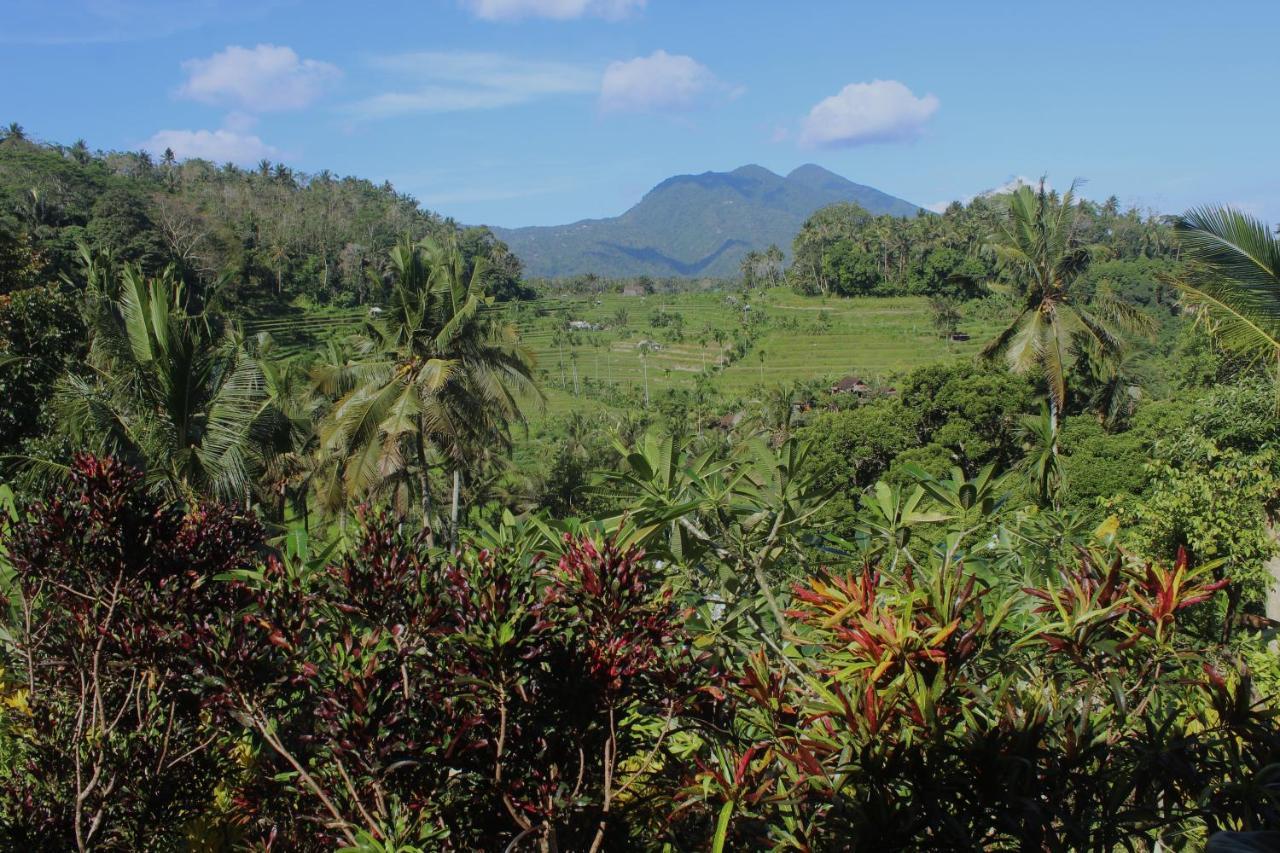 Pondok Lembah Dukuh Homestay Karangasem Amlapura Exterior foto